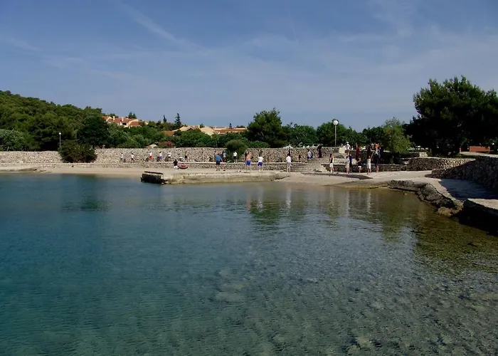 The Garden * טיסנו