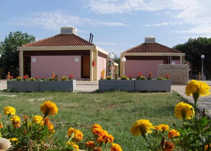 The Garden * טיסנו