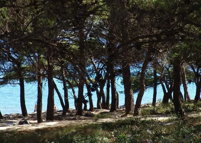 The Garden דירה טיסנו